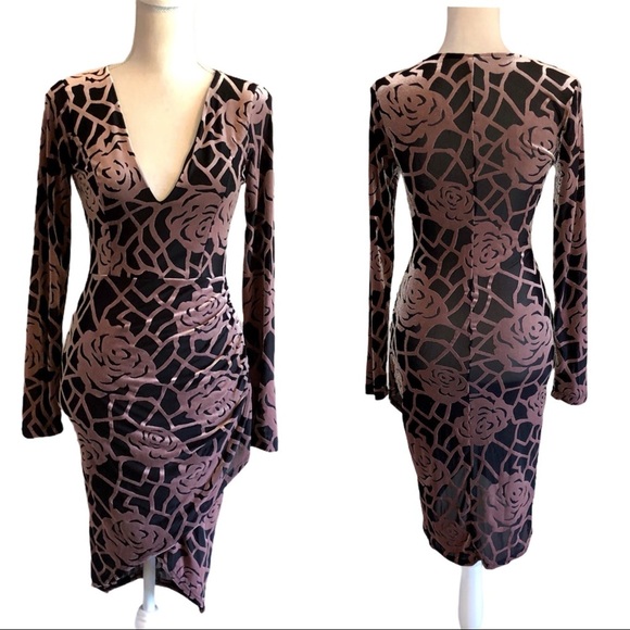 Sexy Privy Velvet/Sheer Dress Medium - Picture 1 of 7